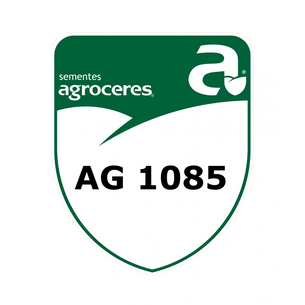 Semente Sorgo AG1085 